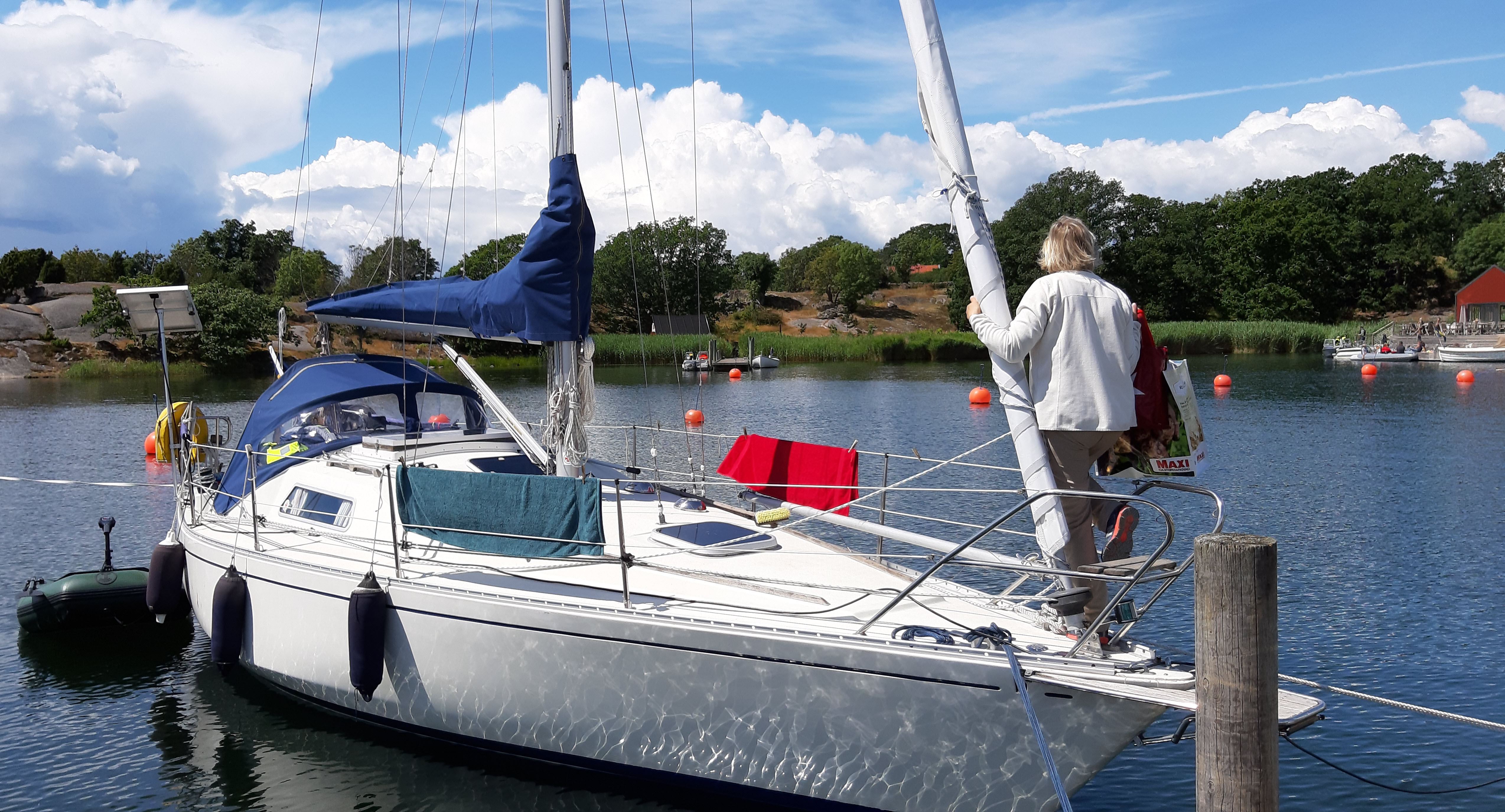 Vacker vik med Scampi, juli 2019